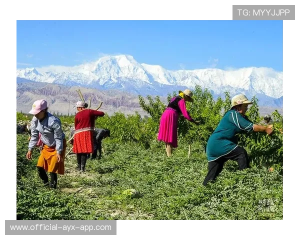 时政微纪录丨总书记新疆行的风景线